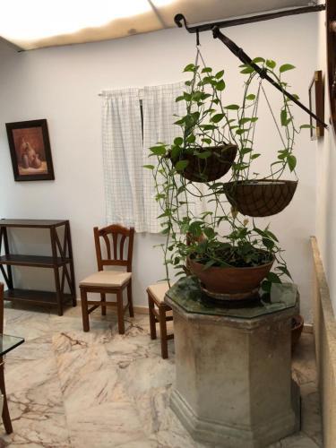 Apartamento Amplio Piso En El Centro De C�diz
