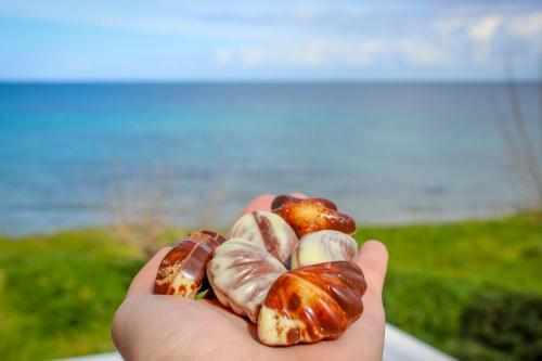 Pelagion II Sea Coral - Beachfront Holiday Home