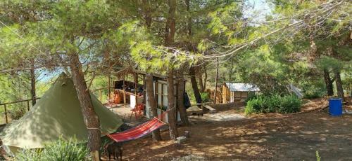 Zelt 6 Camp West