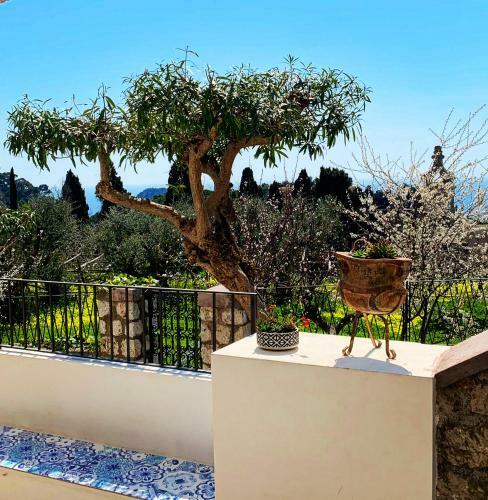 Le Donne Di Capri - Charming Apartments In Capri