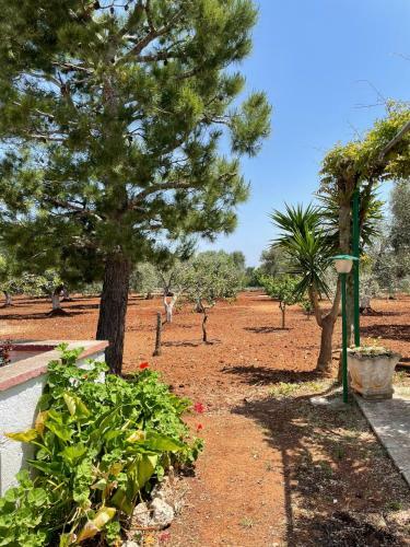 Agroturismo Villa Blanca