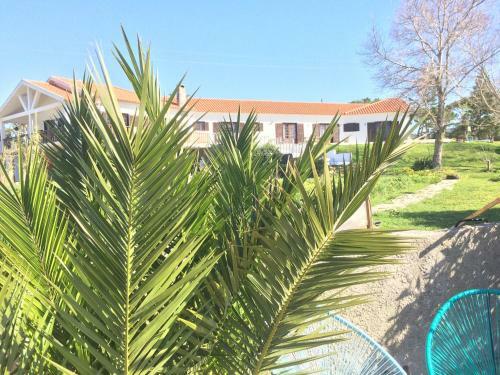 Bed & Breakfast Elemental Ericeira