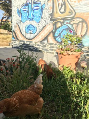 Bed & Breakfast Elemental Ericeira