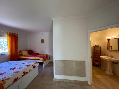 Luxurious And Spacious Villa With A Big Pool