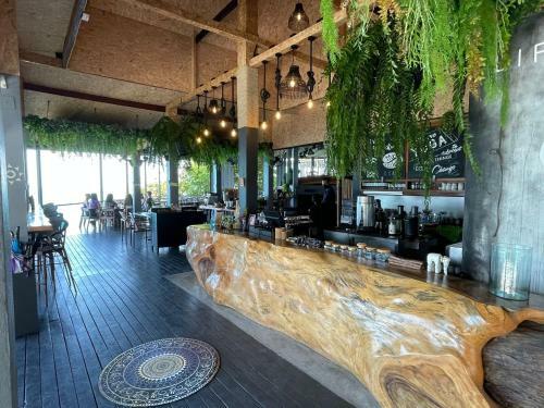 Hotel Vikasa Yoga Retreat