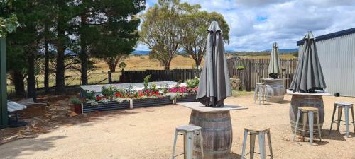 The Little Lady At Naked Lady Wines