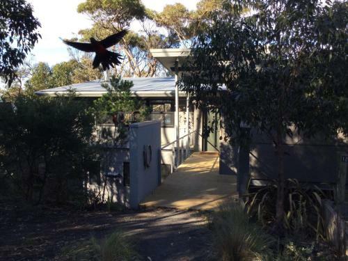 Treetops Terrace 10