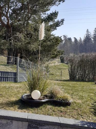 Apartamento Ferienwohnung Am Wald