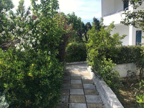 The Cycladic House