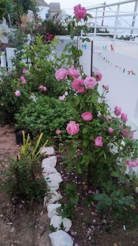 Apartamento Ornella's & Laura's Secret Place