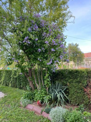 Apartman Plum Plitvice