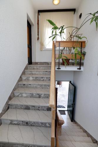 Apartman Petri?