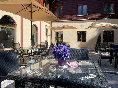 Hotel Voila Inn Predeal