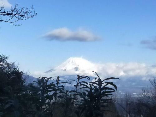 Cottage Hidamari - Vacation Stay 05576v