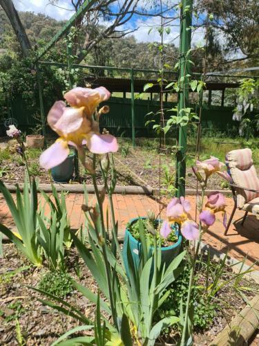 Kooloora Cottage