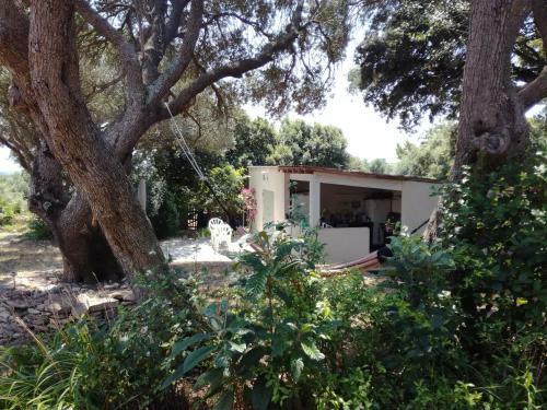 Bonifacio,studio Ind�pendant, Sous Les Oliviers