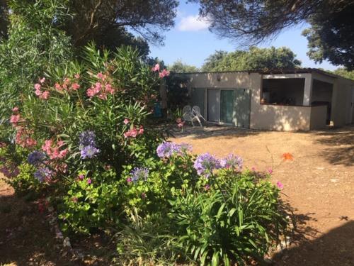Bonifacio,studio Ind�pendant, Sous Les Oliviers