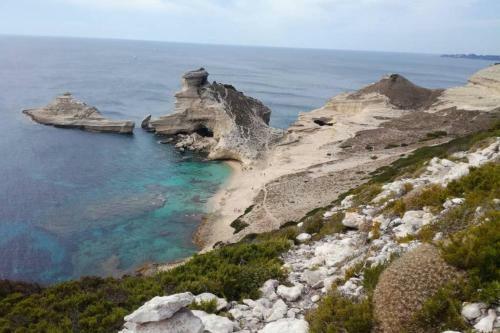 Bonifacio,studio Ind�pendant, Sous Les Oliviers