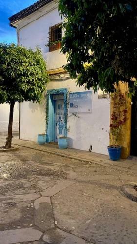 Apartamento Los Patios De Cordoba