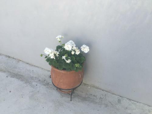 Apartamento Sand And Sea 1