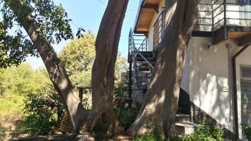 Hostal Chalet Don Bosco