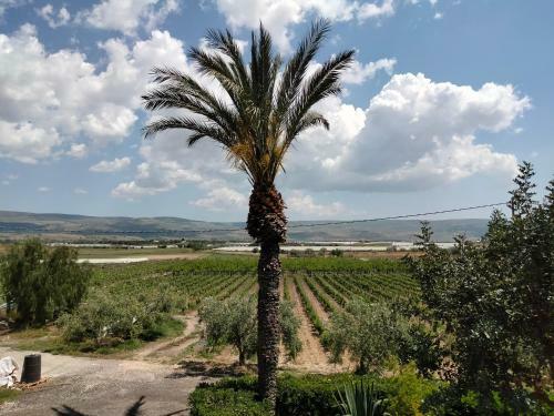 Apartamento Oasi Delle Vigne