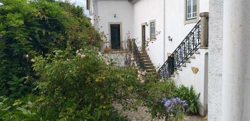 Bed & Breakfast Casa Agapanthus