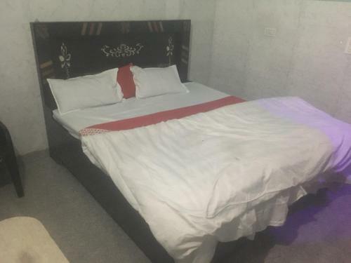 Hotel Oyo 86108 Shri Krishna Homestay