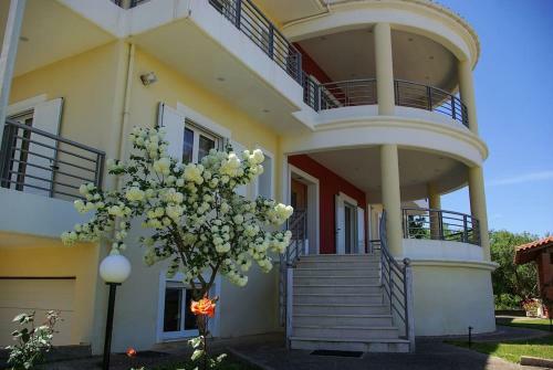 Villa Thodoris Panoramic View