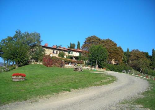 Cardellino