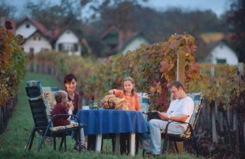 Hostal Gasthof Hotel Zum Weinberg
