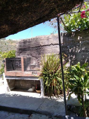 El Ca�izo