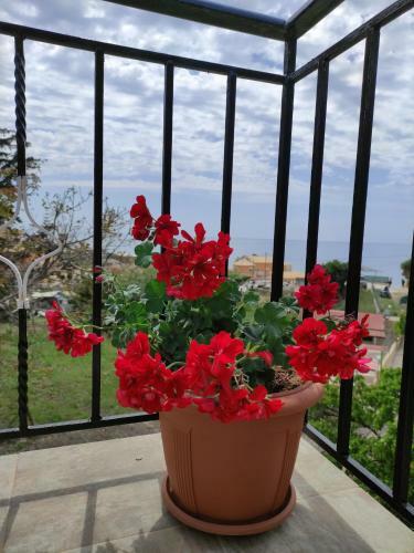 Apartamento House Theofilos