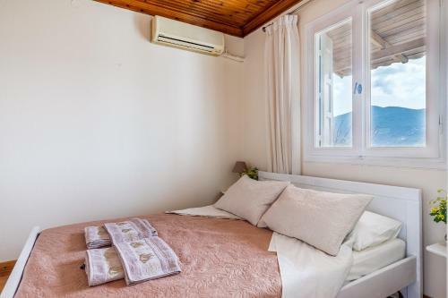 Apartamento Vasia House