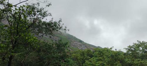 Rockvally Home Stay