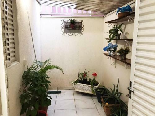 Apartamento Pr�ximo Ao Parque De Exposi��o