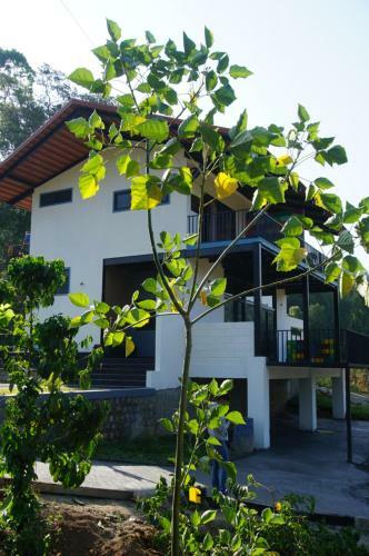 Navilee Homestay