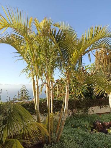 Apartamento Casa La Puntilla Del Sol - Well-kept Flat, Great Sea View