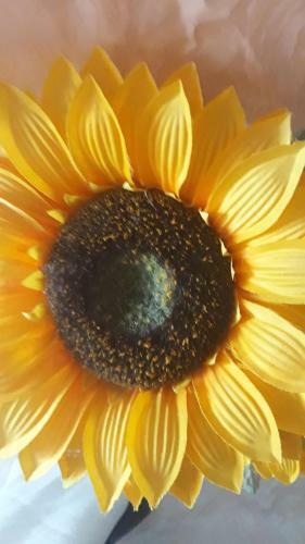 Casa Del Girasole