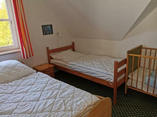 Apartamento Rosa Canina - 2126