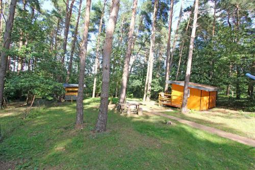 Ferienhaus Lenz See 10961