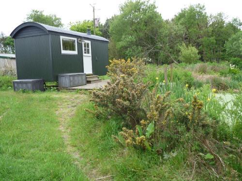 Shepherds Hut On Cornish Smallholding