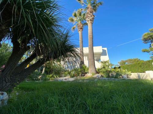 Bisciu Villa On The Sea