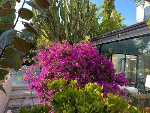 Bisciu Villa On The Sea