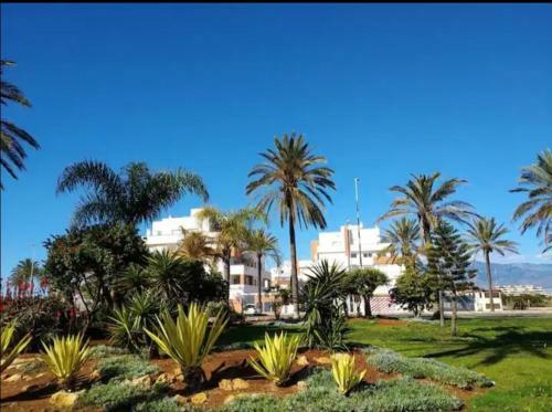 Apartamento Playa Serena