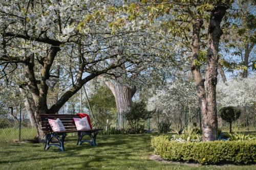 Apartamento Ferienwohnungen ?villa Havelblick?