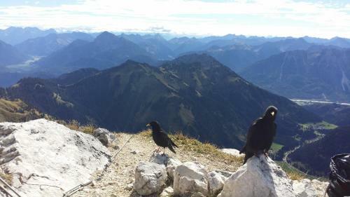 Apartamento Alpin-check-in