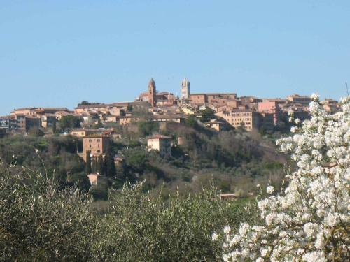 Agroturismo Agriturismo La Torretta
