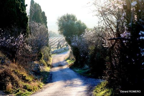 Gite*** La Palme