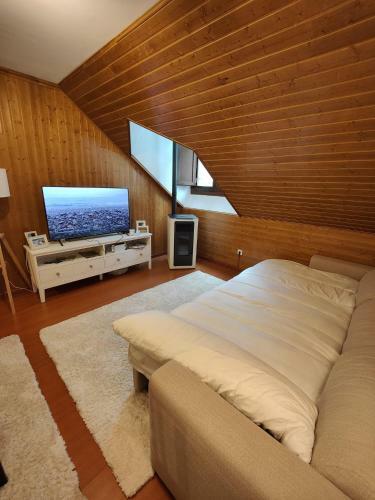 Apartamento La Moleta Canfranc